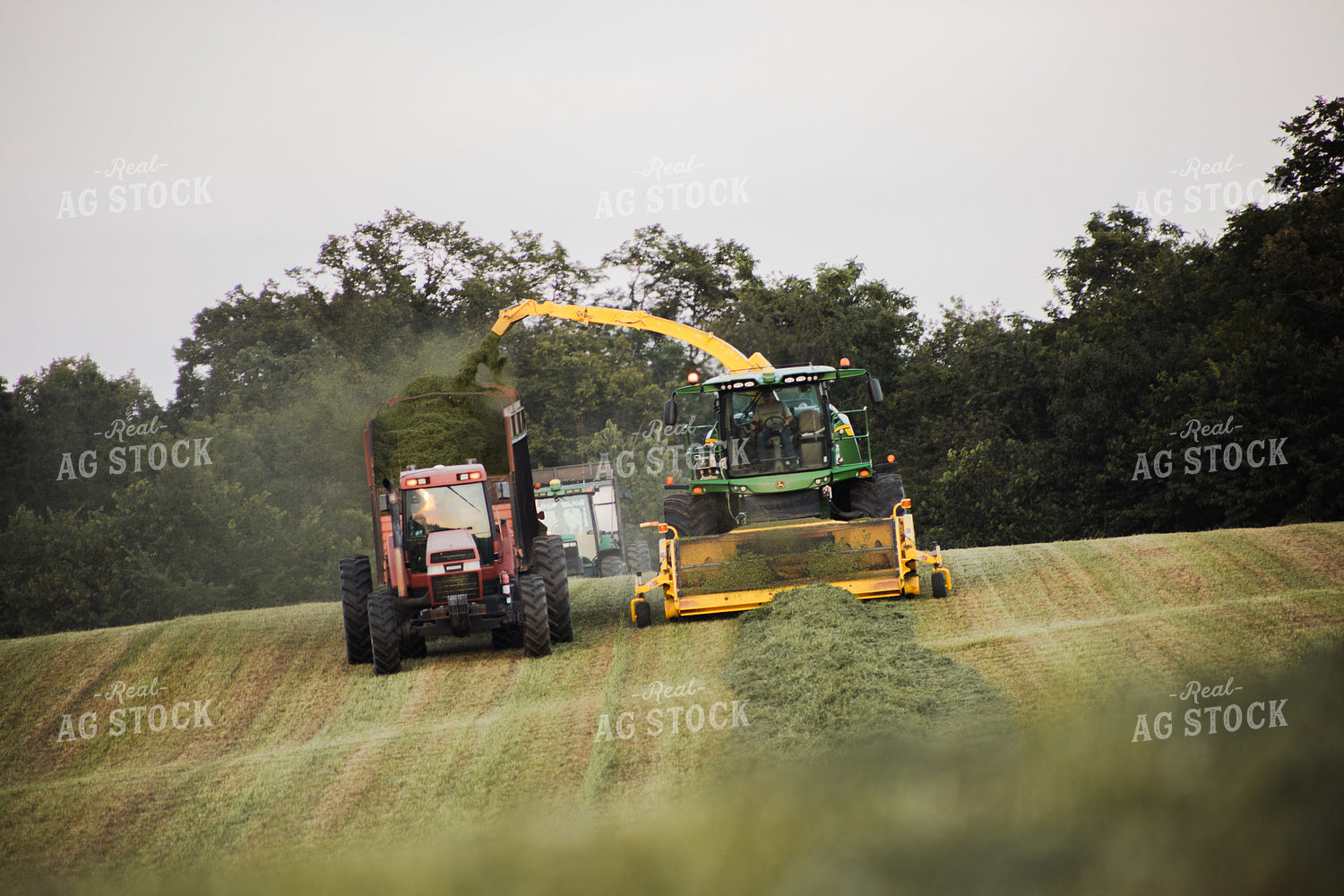 Haylage Harvest 272025