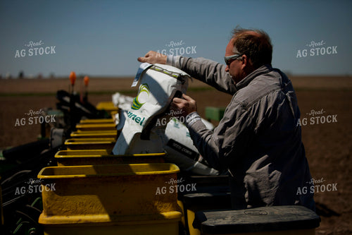 Planting 2002