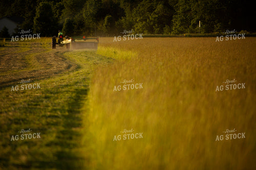 Cutting Hay 4956