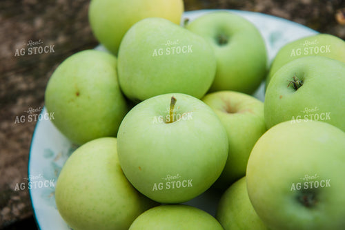 Green Apples in Bowl 67329
