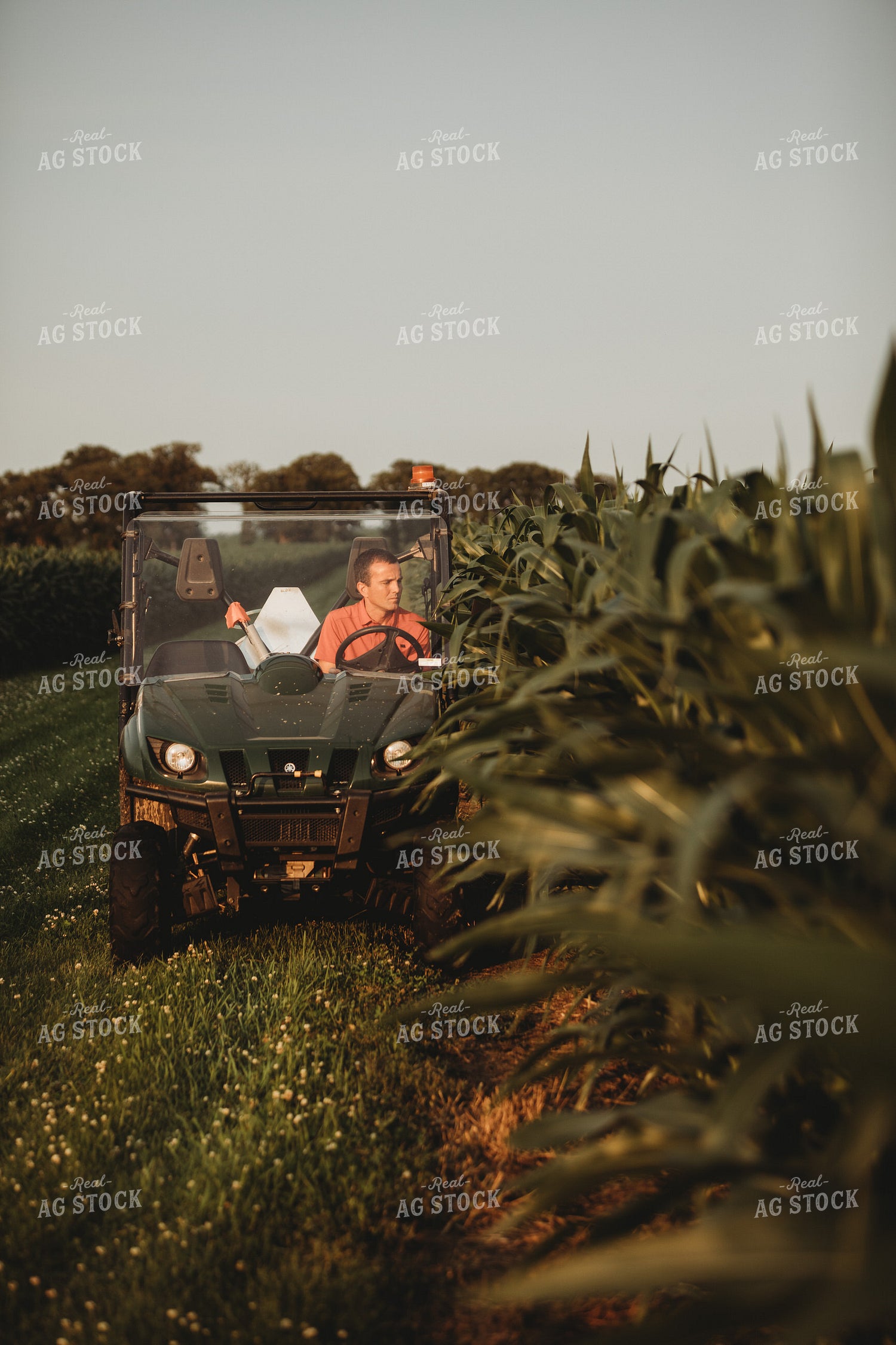Farmer Checking Corn Crop in UTV 4555