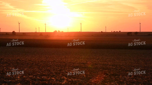 Two Combines Harvesting Corn at Sunset - 565