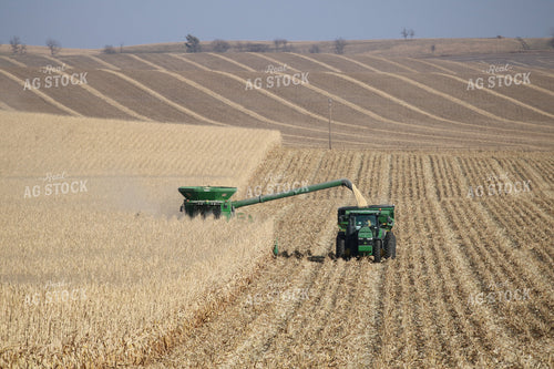 Corn Harvest 82026