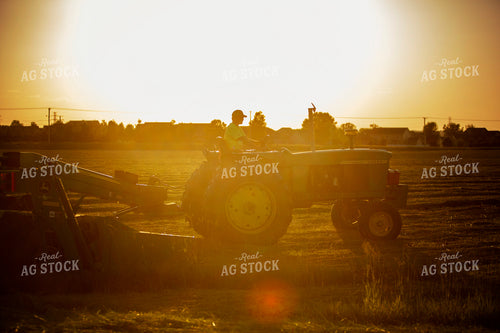 Cutting Hay 4954