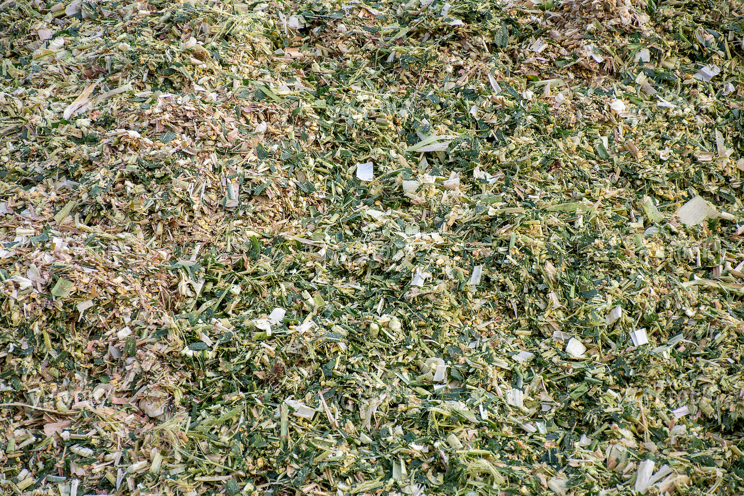 Animal Feed 50229