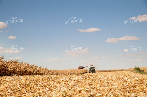 Combine Unloading Corn into an Auger Wagon on the Go on a Sunny Day 25896