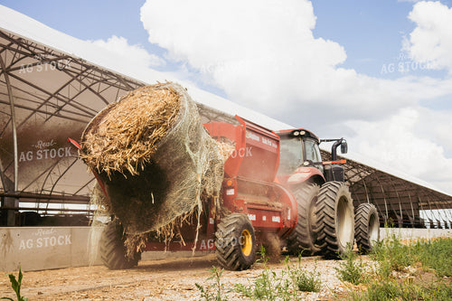 Feeding Silage to Cattle from Round Bale Processor 67406