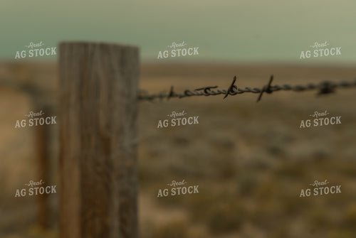 Barbed Wire Fence 58279