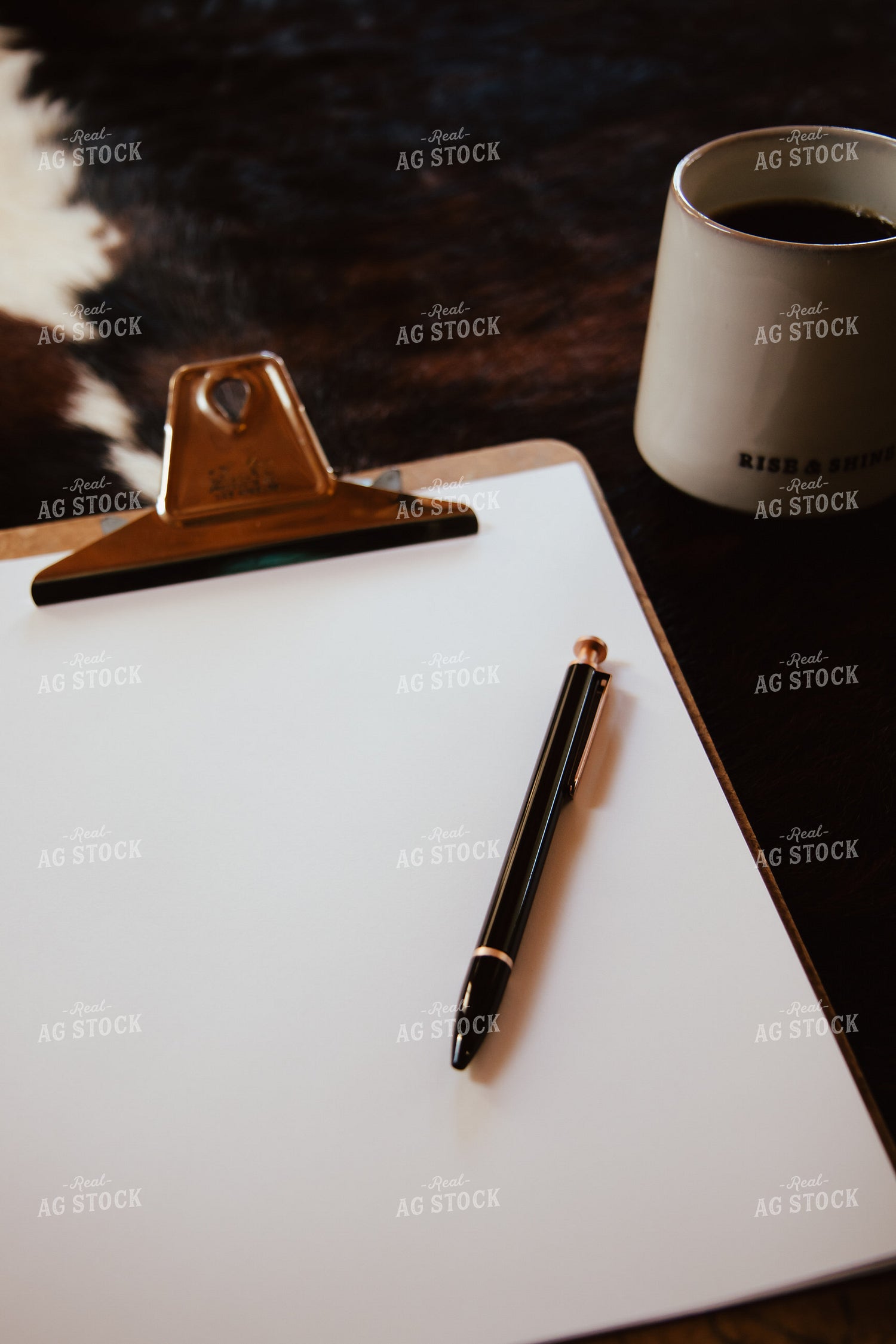 Office Stock 67915
