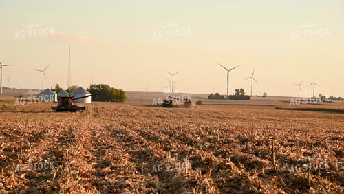 Three Combines Harvesting Corn at Sunset - 555