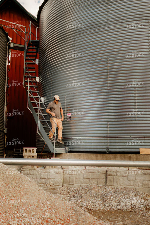 Farmer Climbing Down Grain Bin 9344