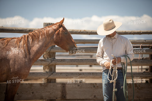Training Colts 78235