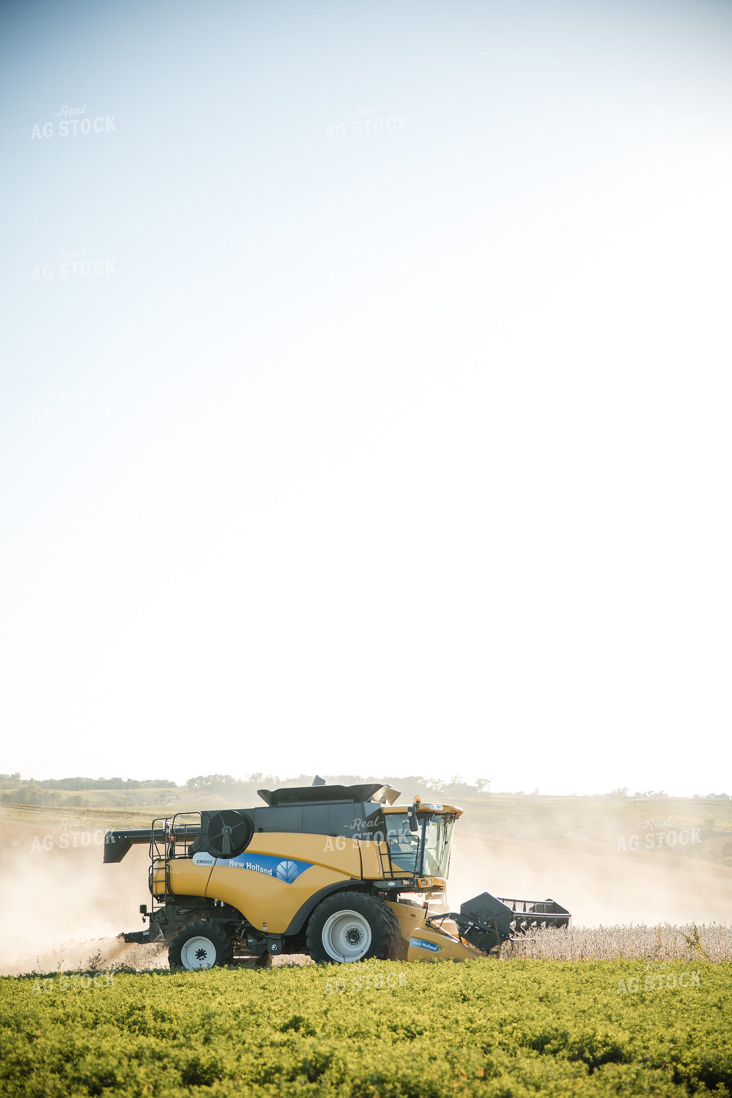 Soybean Harvest 215101