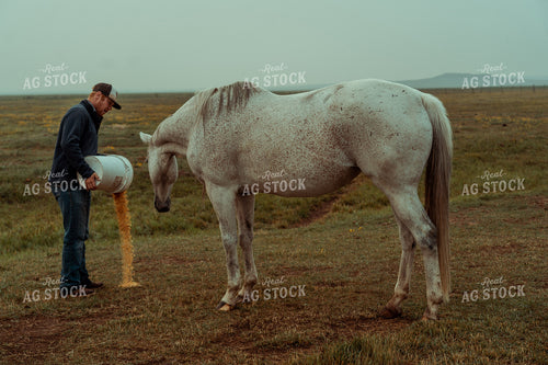 Rancher Feeding Horse 58142