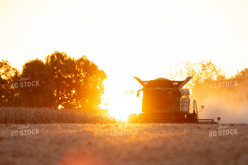 Soybean Harvest at Sunset 157226