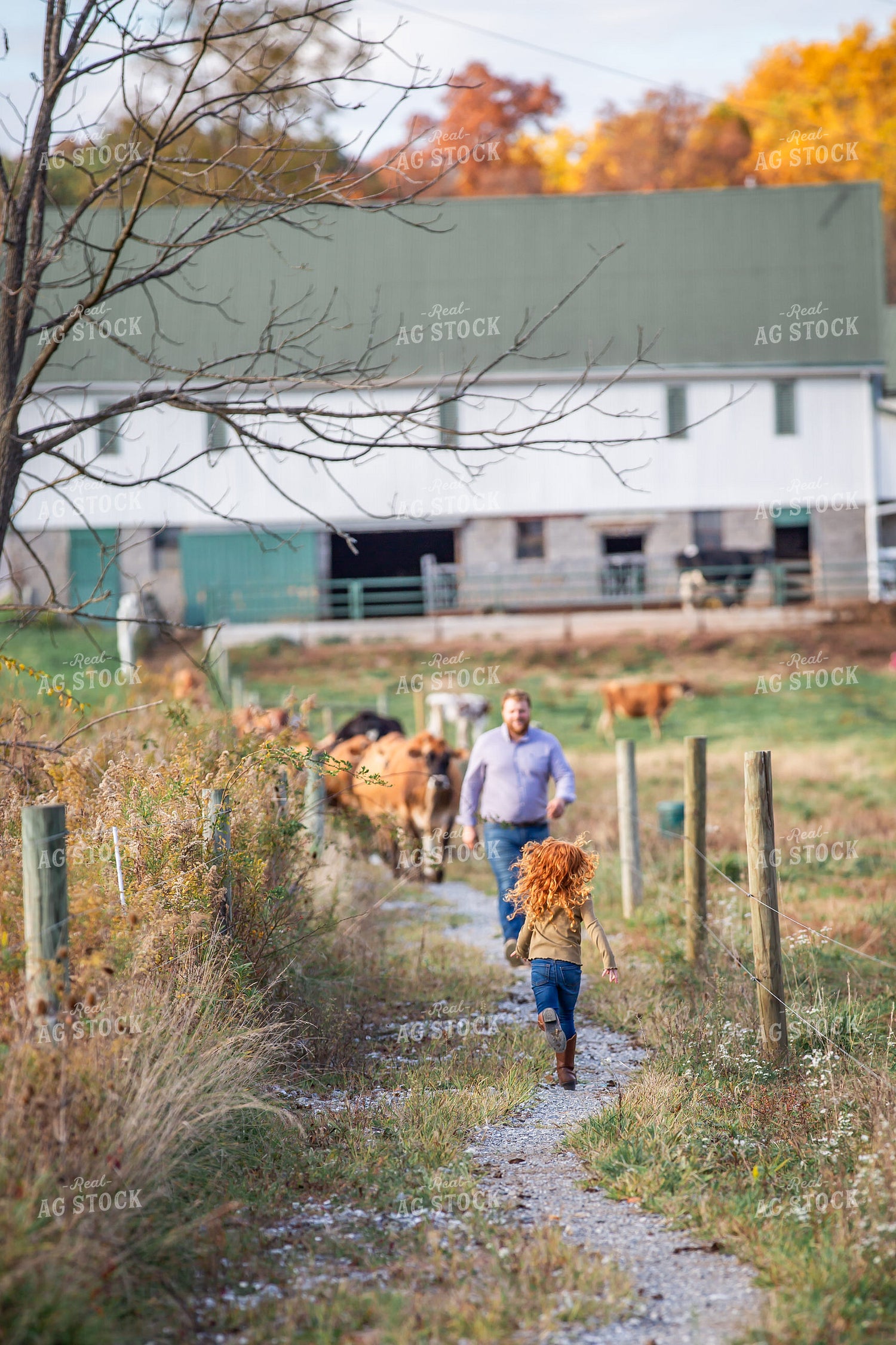 Farm Kid Running to Greet Farmer 270154