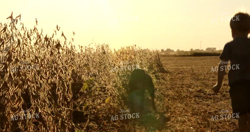 Farm Kid with Farm Dog and Soybean Field 5389