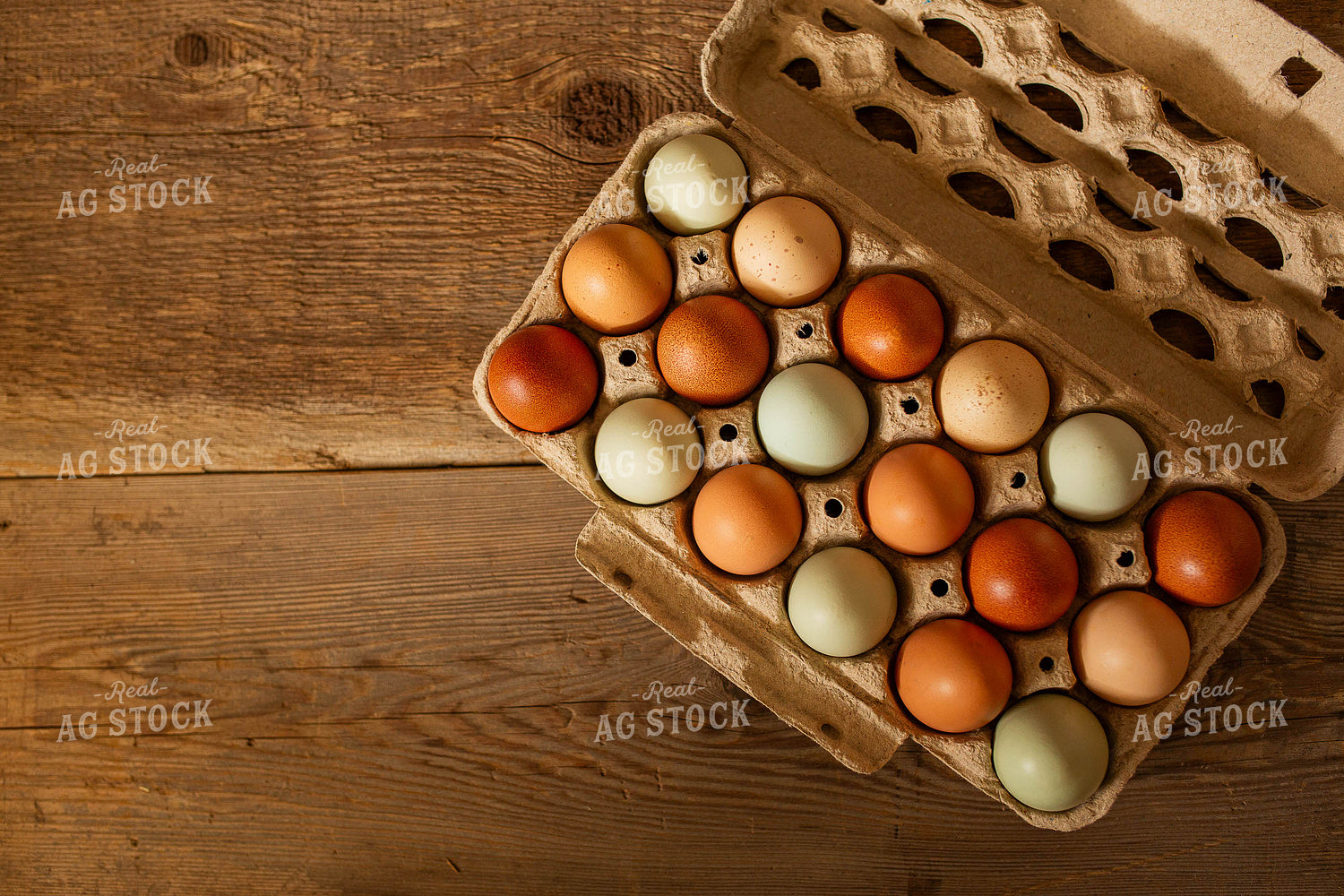 Eggs 303047