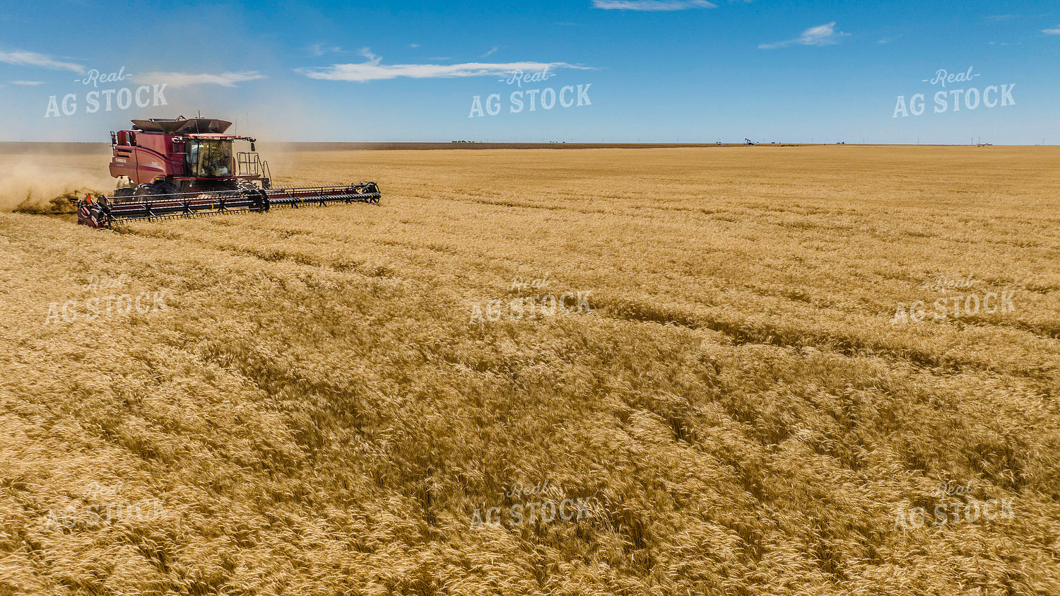 Wheat Harvest 199058