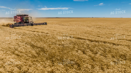 Wheat Harvest 199058