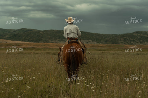 Rancher on Horseback 58284