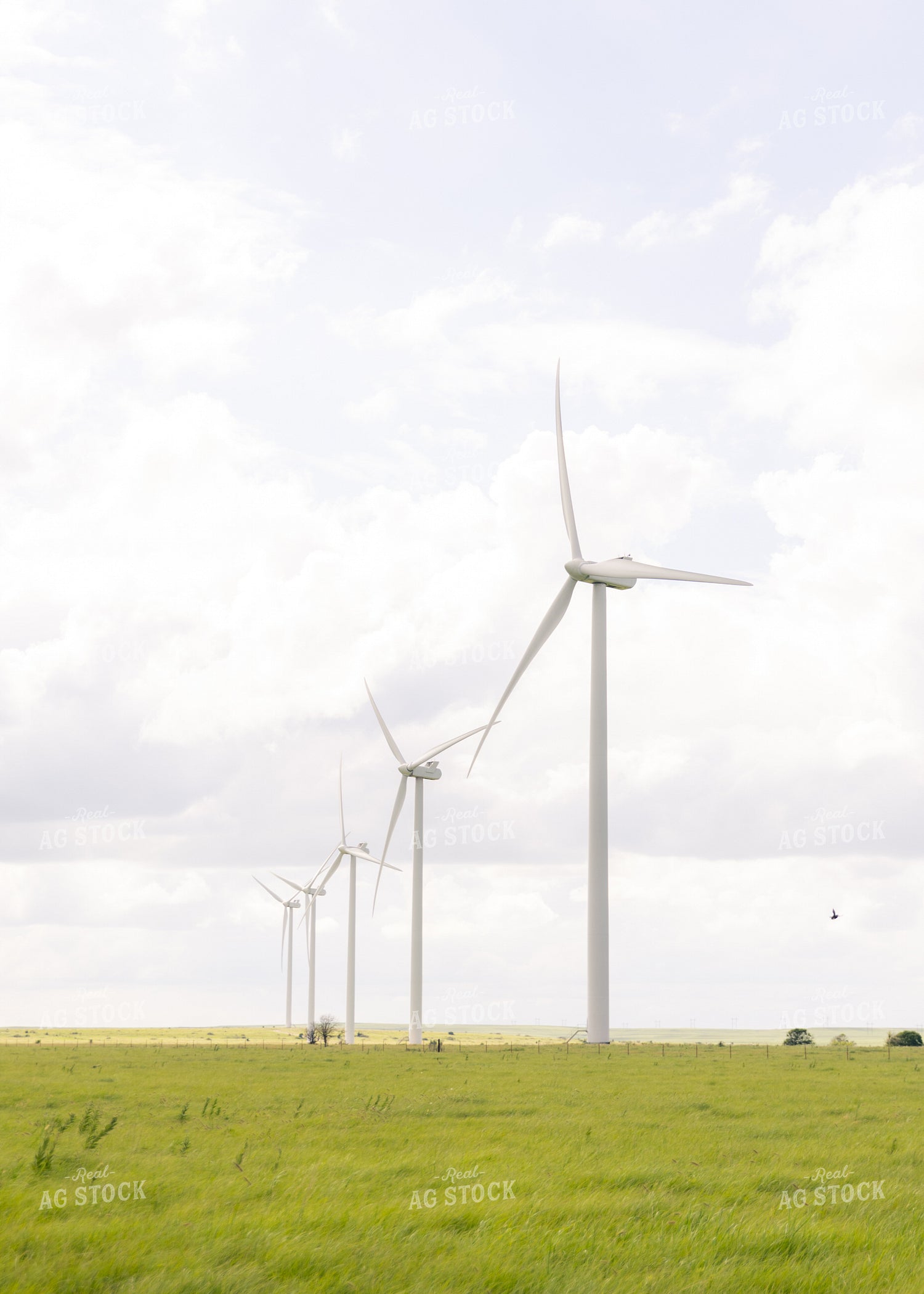 Wind Turbine 264025
