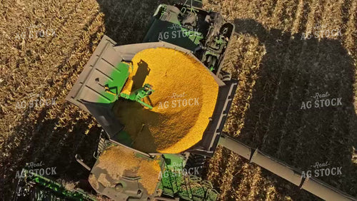 Corn Harvest 92093