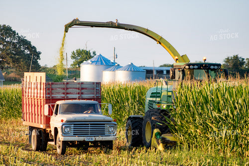 Cutting Silage 214084