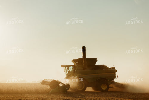 Soybean Harvest 9239
