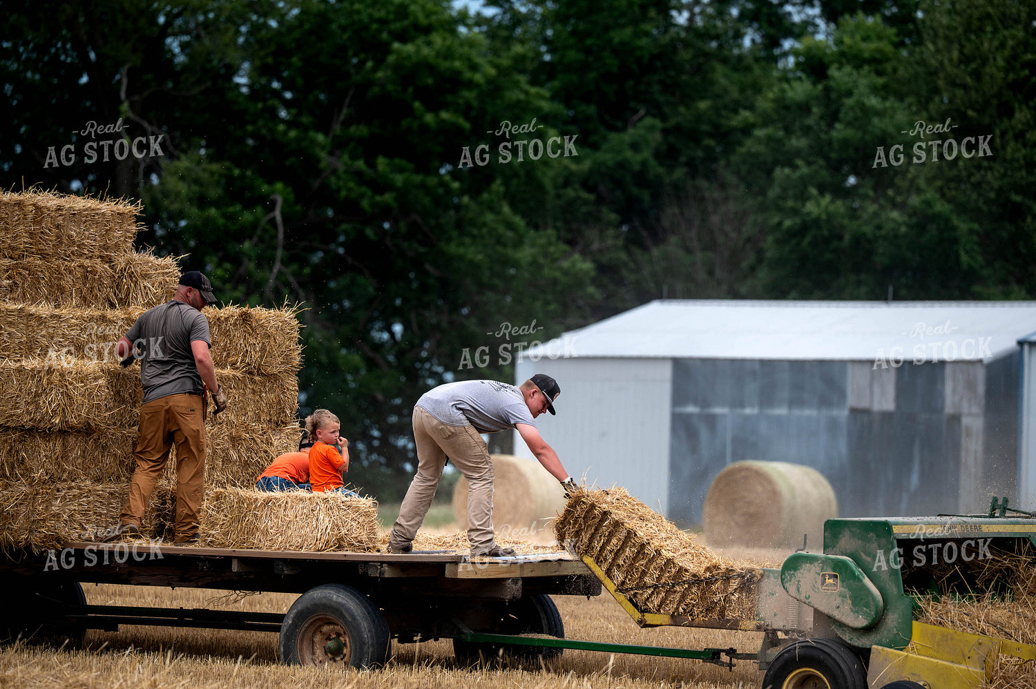 Baling Square Hay Bales 115801