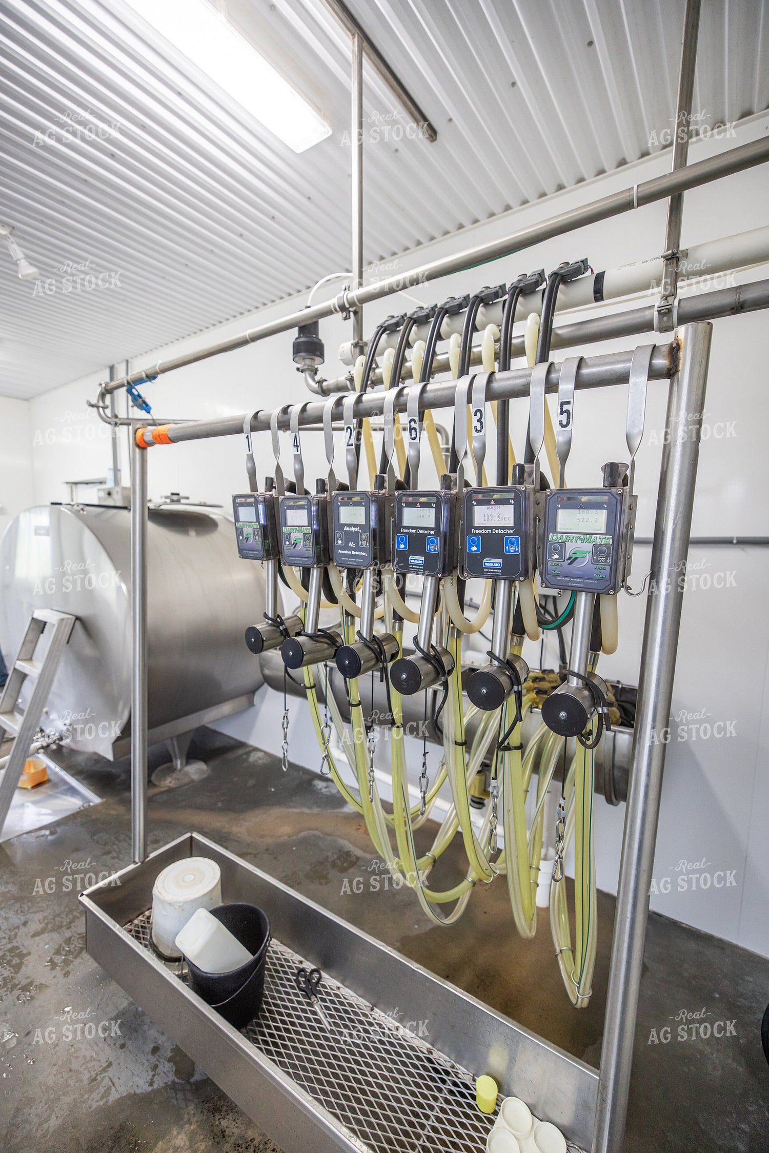 Milking Parlor 270417