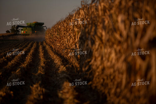Harvest 2517
