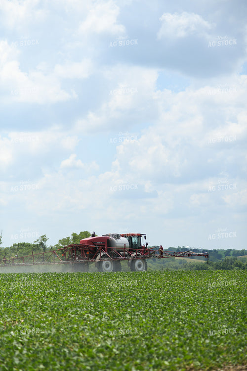 Spraying 191224