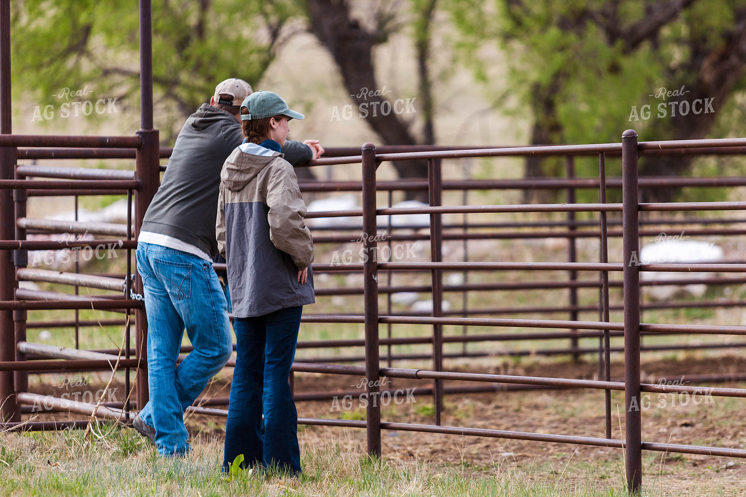 Ranchers at Fence 97223