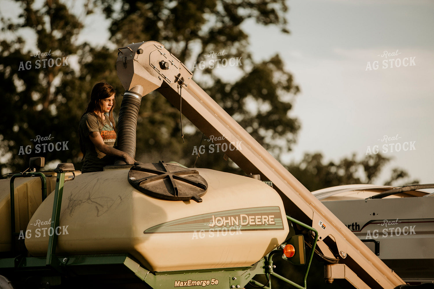 Planting 2814