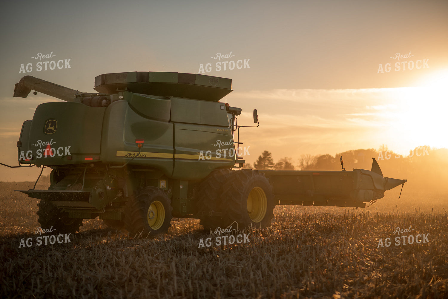 Corn Harvest 76724
