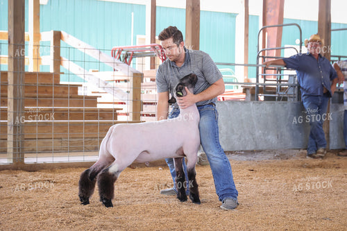 Showing Goats 52290