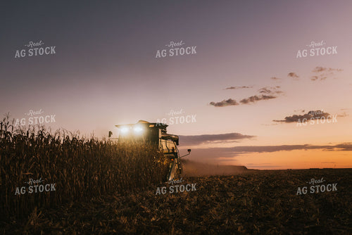 Corn Harvest 9413
