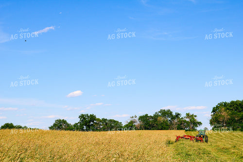 Mowing Hay 214032
