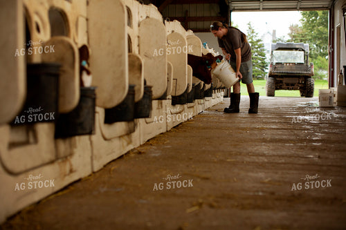 Dairy 2748