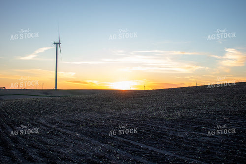 Soybean Field with Windmills 67117