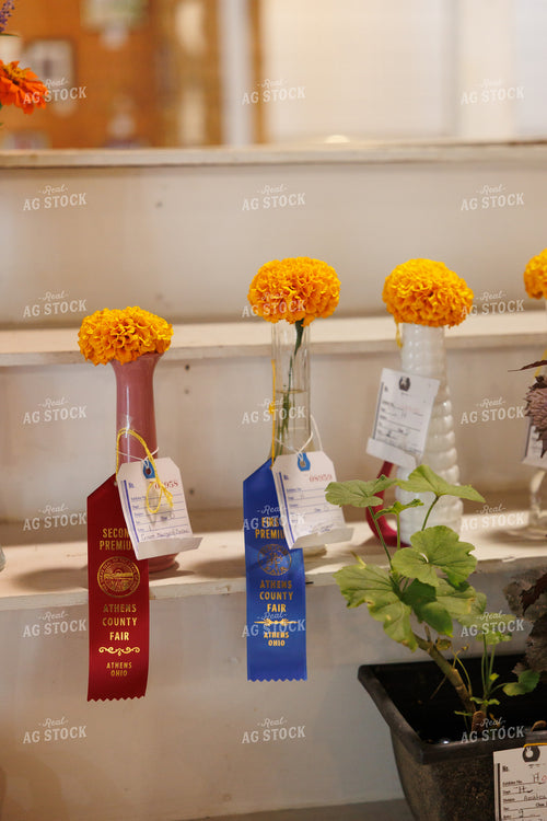 County Fair Flower Exhibits 295183