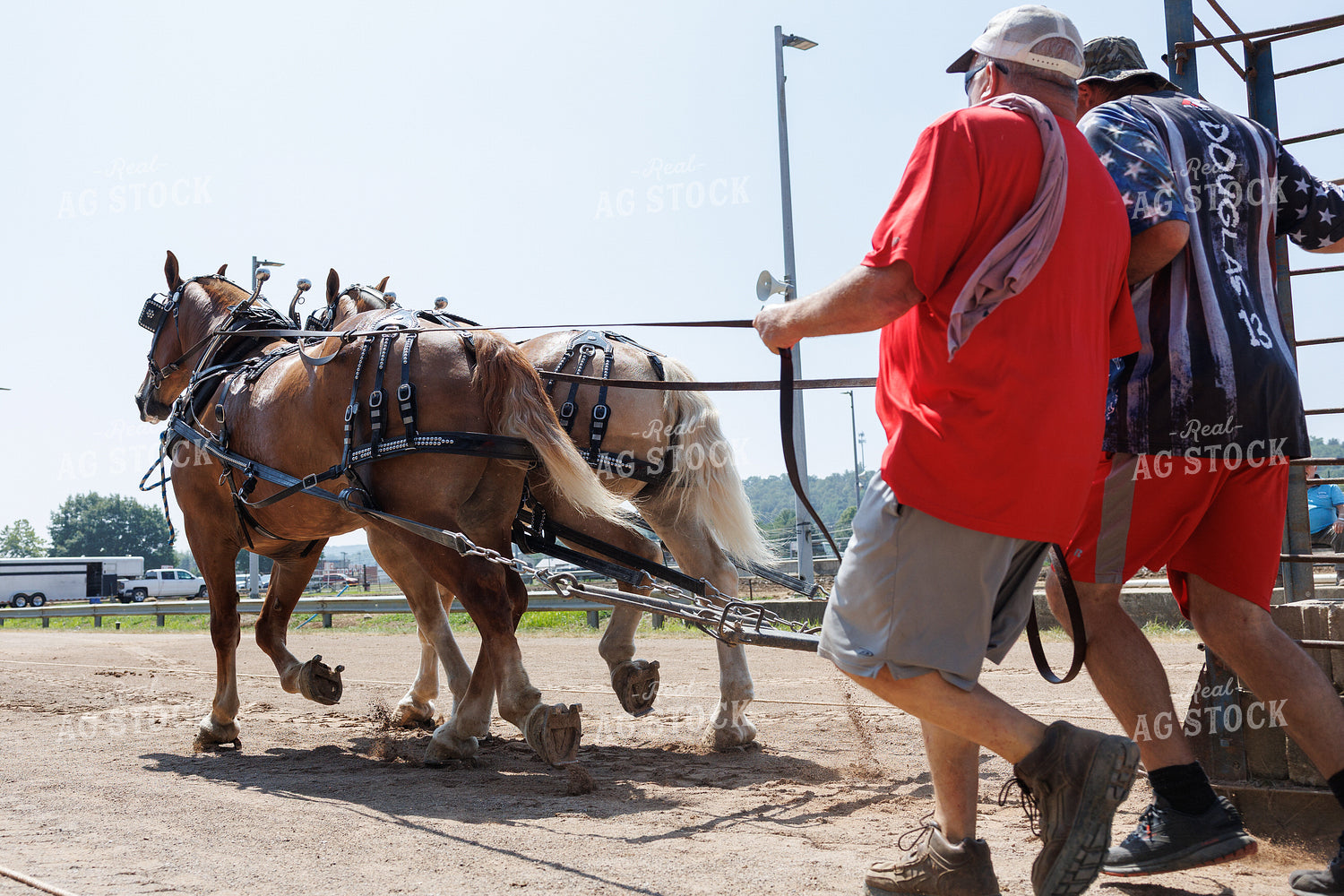 Horse Pulling 52902