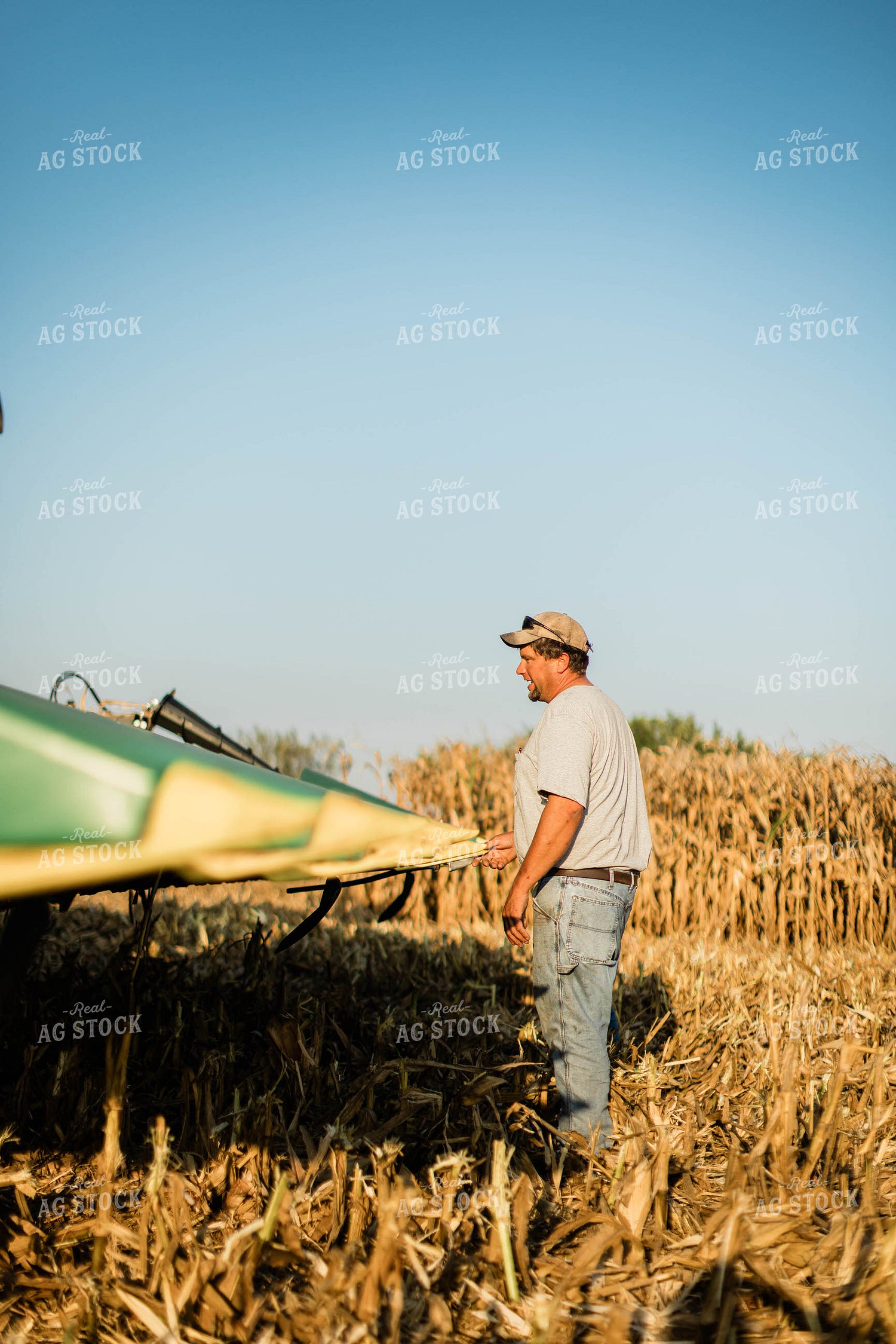 Farmer by Combine Head 8277