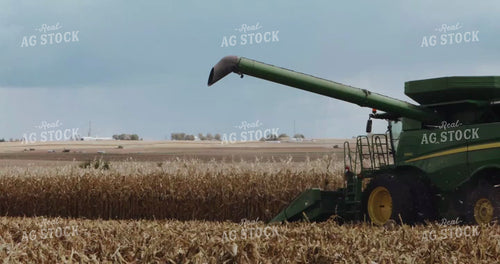Harvesting Corn with Neighbors 3907