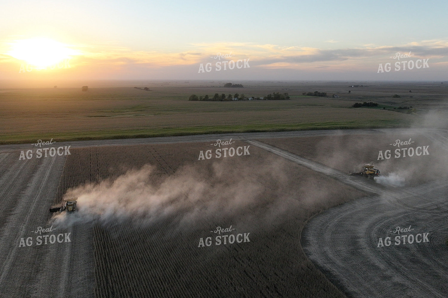 Soybean Harvest 141430