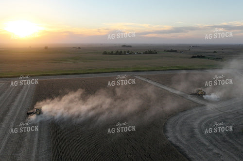 Soybean Harvest 141430