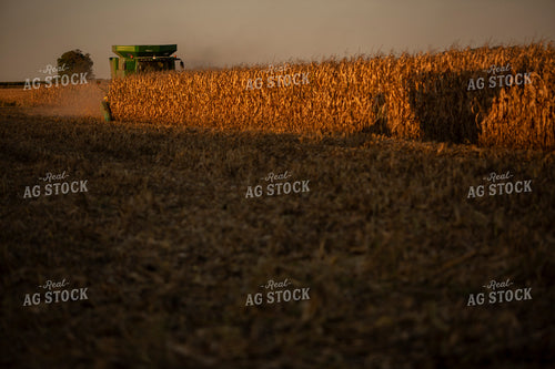 Harvest 2508