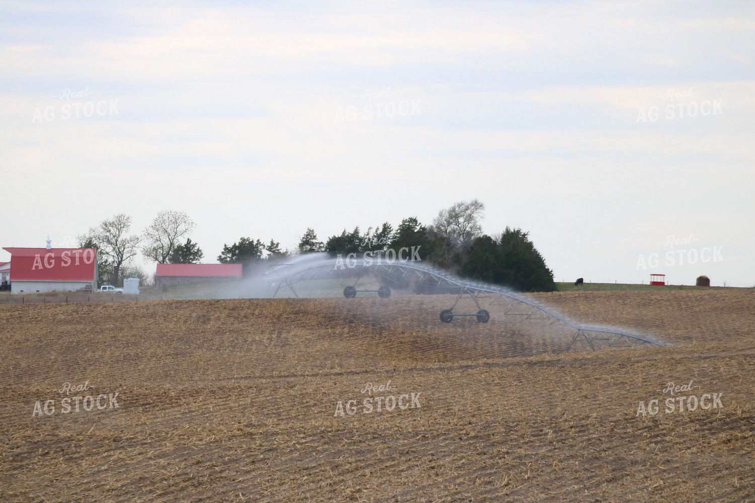 Irrigation 82403