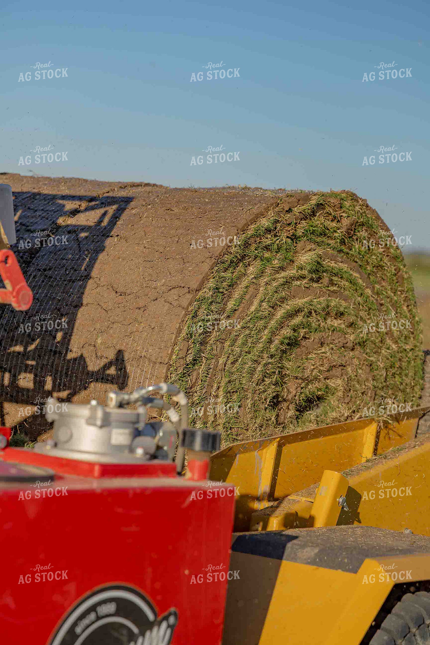 Sod Harvest 291022